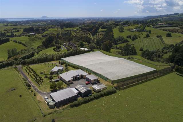 108d Plummer Road Whakamarama_3