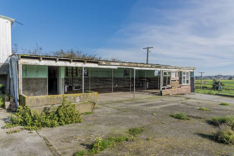 252 Wallace Road Koputaroa_18