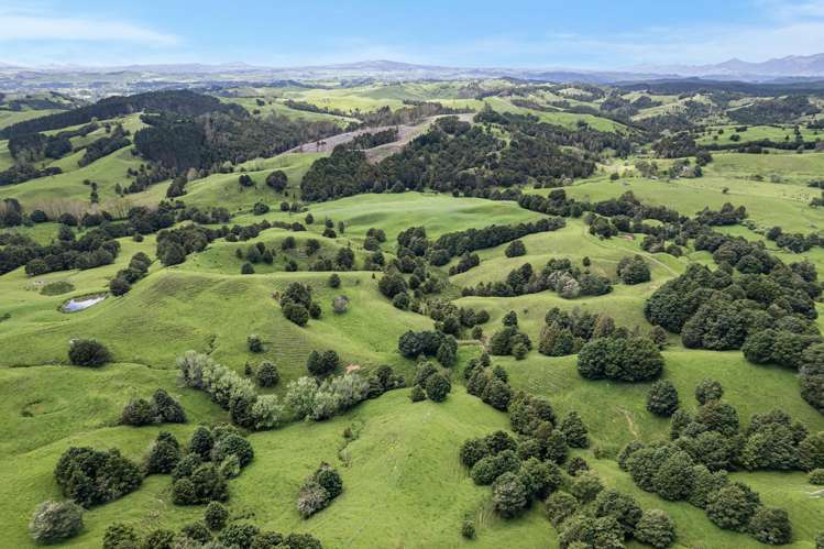 Coxhead Road Parakao_11