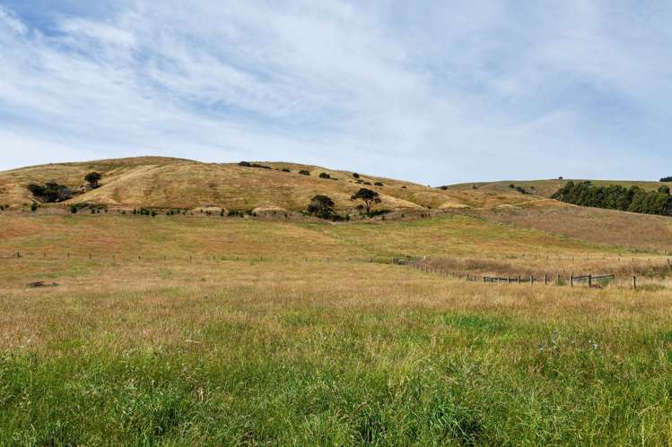 Lot 1 & 2/1015 Lake Ferry Road Martinborough_9