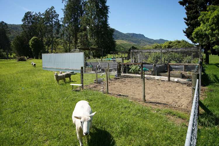 213 Matakitaki Road Murchison_18