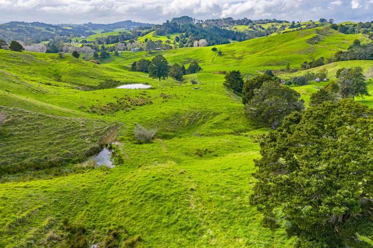 118 Paparoa Station Road Paparoa_20