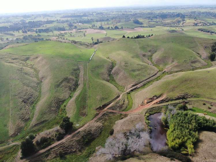 1026 Limeworks Loop Road Karamu_19