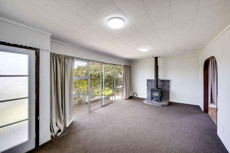 5 Plunket Street Tamatea_10