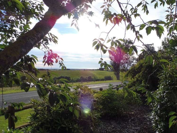 113 Downs Road Geraldine_21