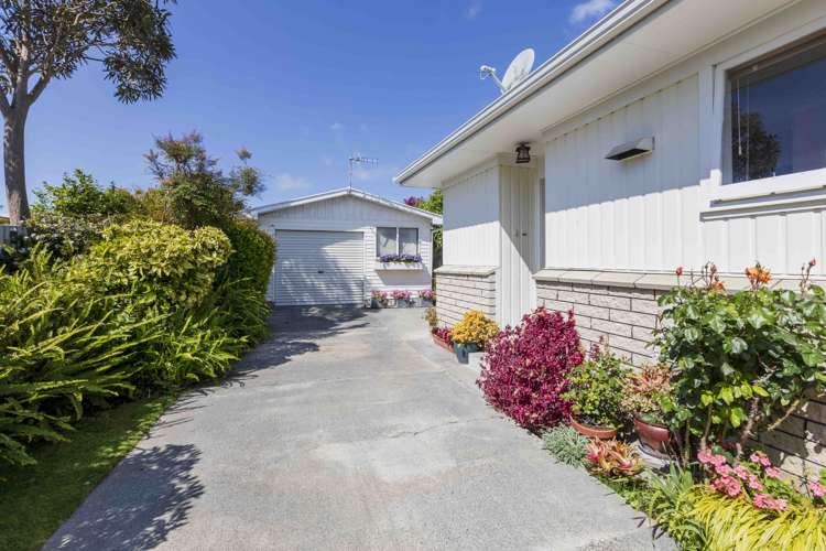 24 Plunket Street Tamatea_14