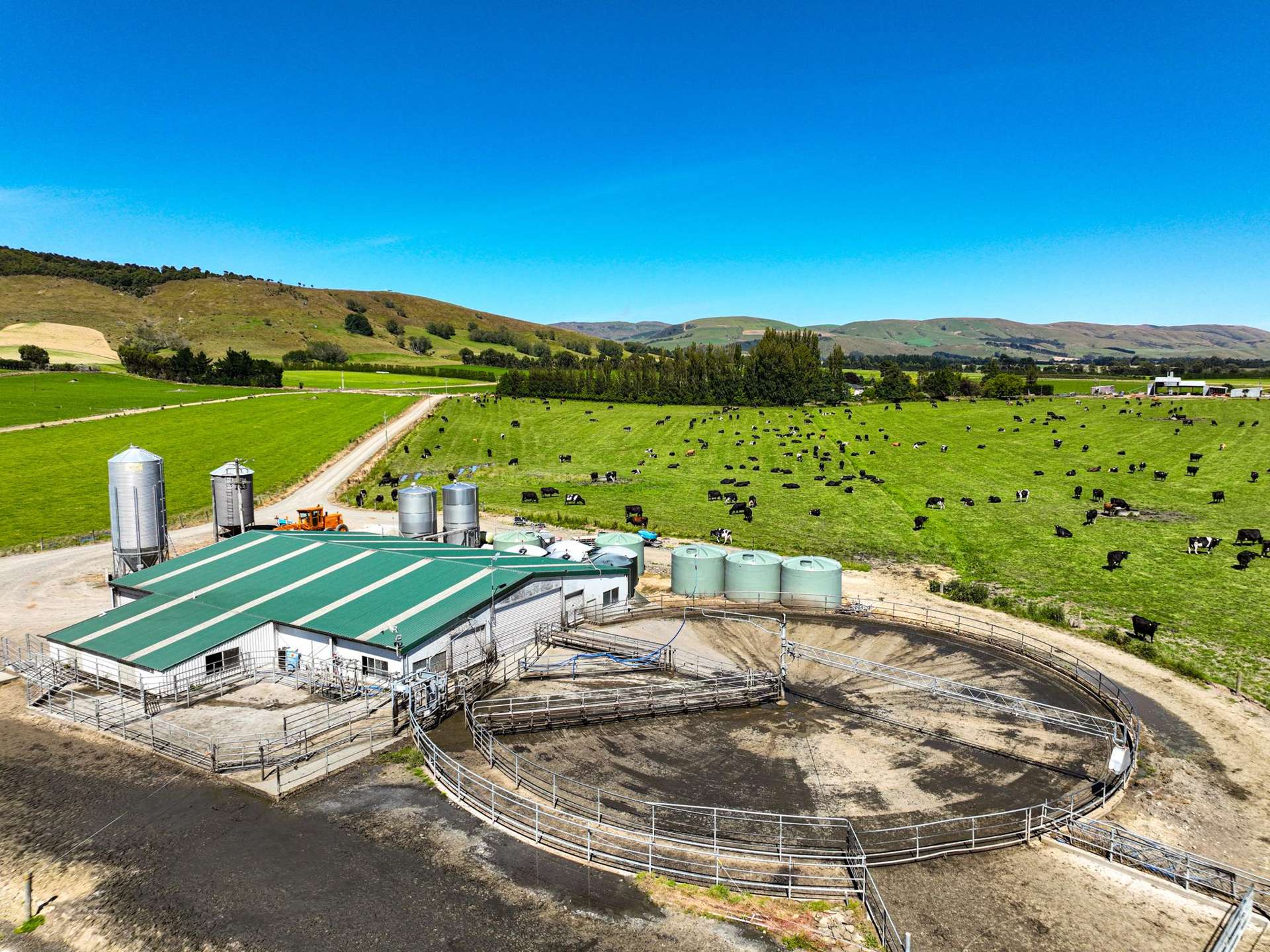 10 Roy Road Clutha_0