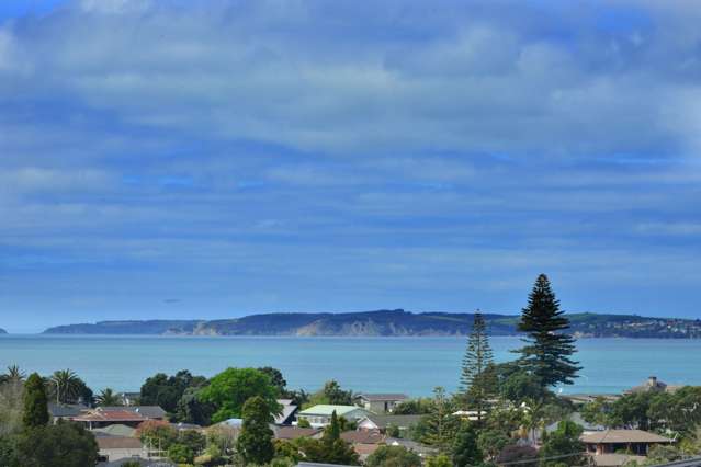 35 Landmark Terrace Orewa_3