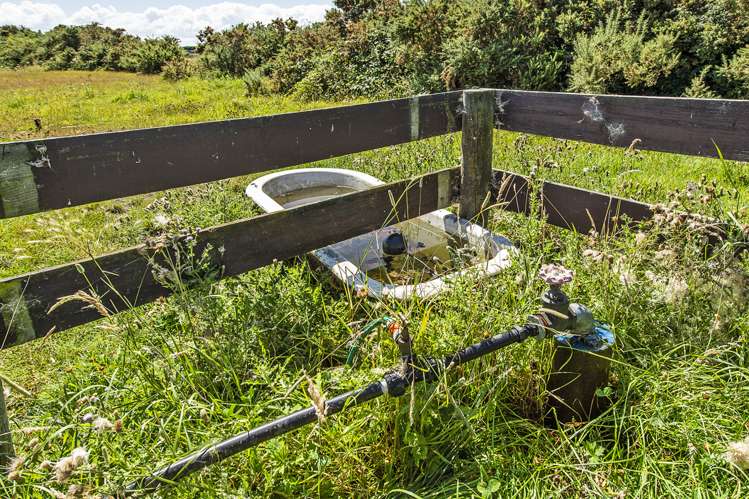 Johnstons Road Leeston_2