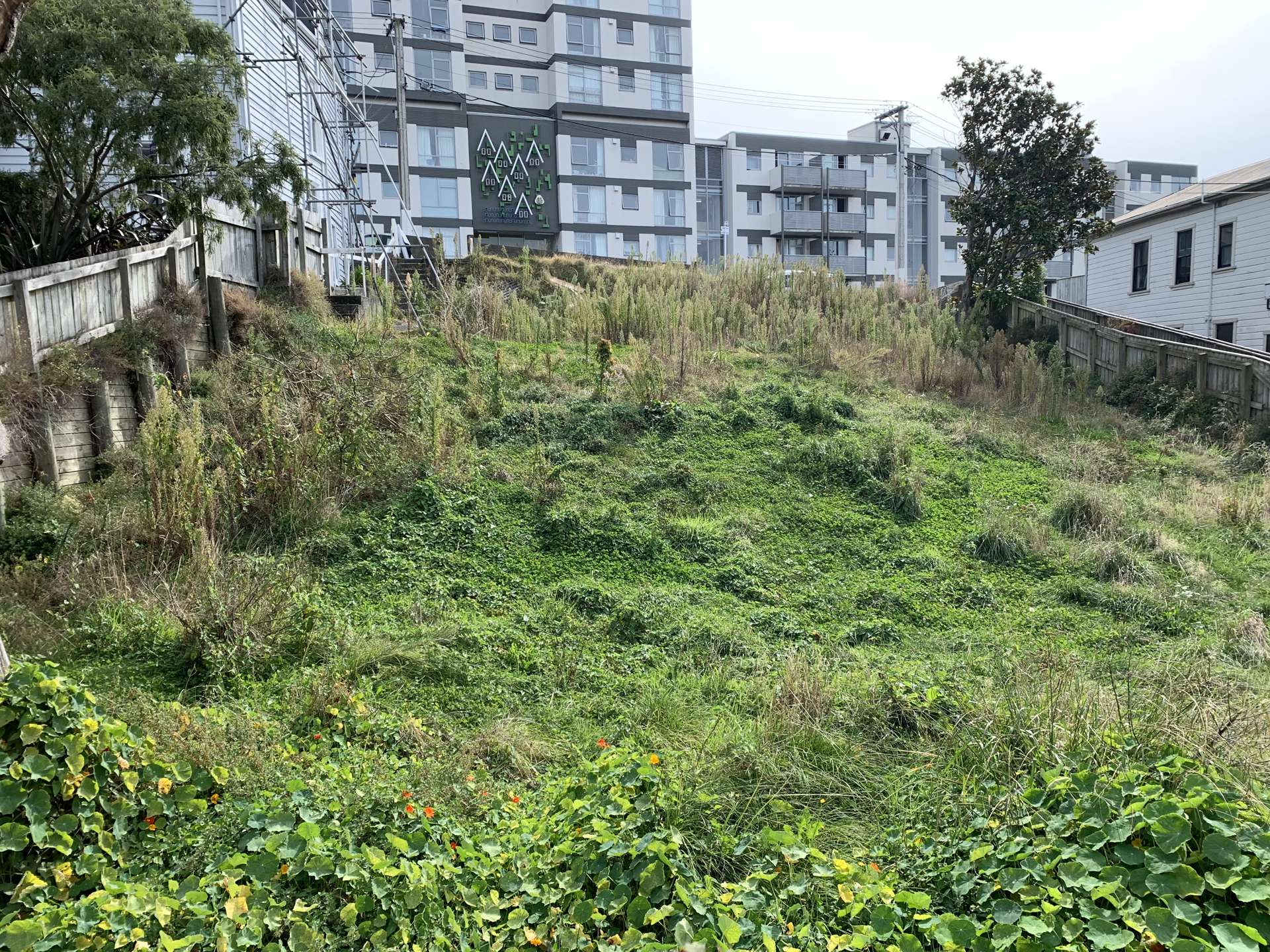 39 Nairn Street Mount Cook_0