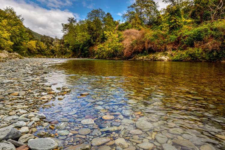 420 Wakamarina Road Canvastown_32