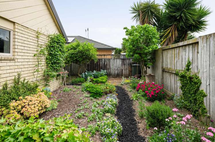 250 Thomas Road Rototuna North_17