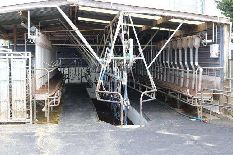 261 Middle Road Tapanui_12