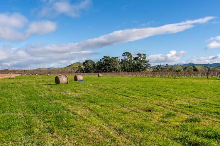 527c Main North Road Bay View_22