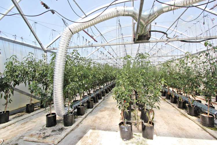 1829 Pakowhai Road Pakowhai_15