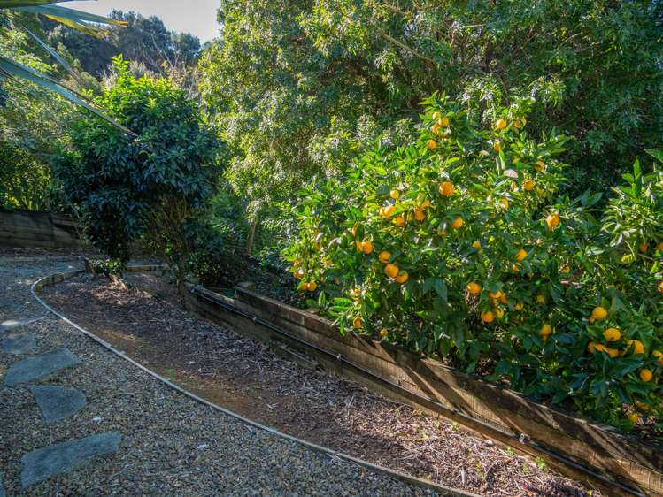 21 Grey Street East Mangonui_29