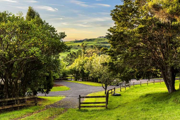 85 Taylor Road Waimauku_11