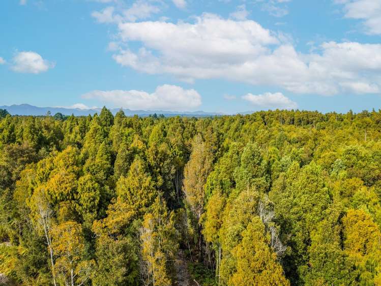 Lot 74 Sanctuary Place Kumara Junction_8