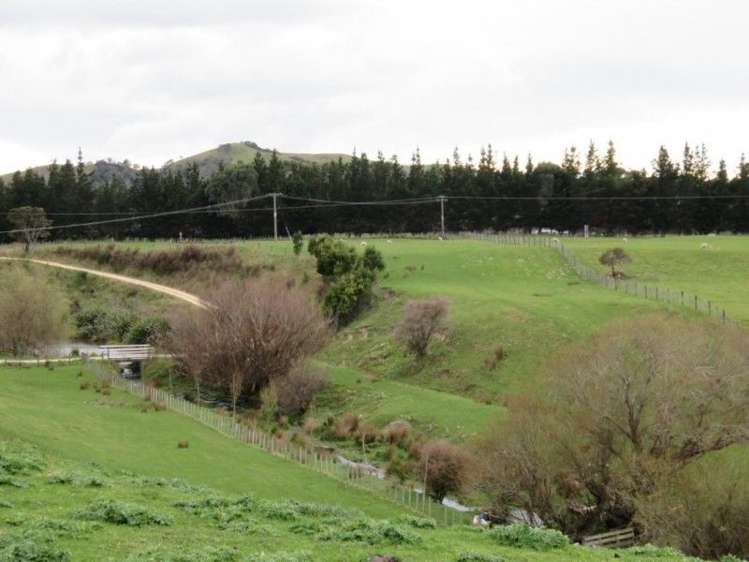 769 State Highway 2 Opaki_5