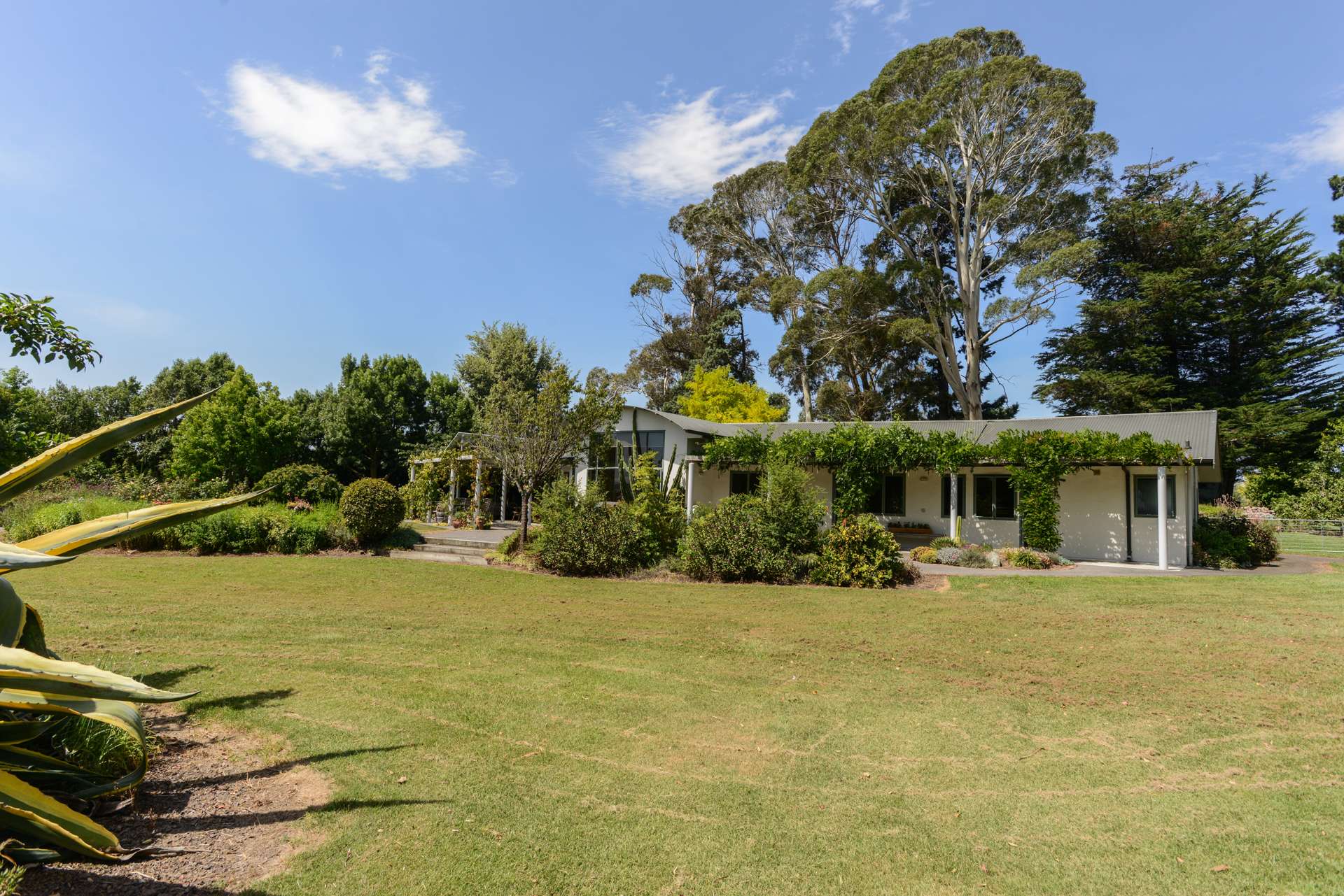 5 Viax Lane Waipukurau and Surrounds_0