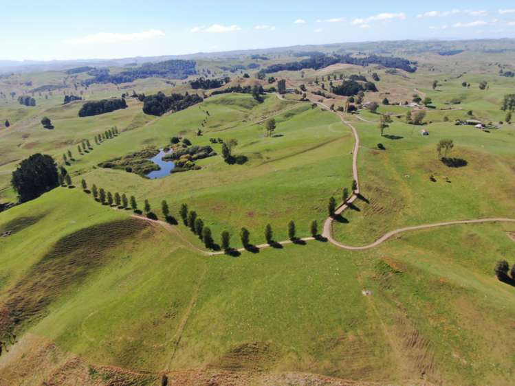 Paekaka Road Piopio_22