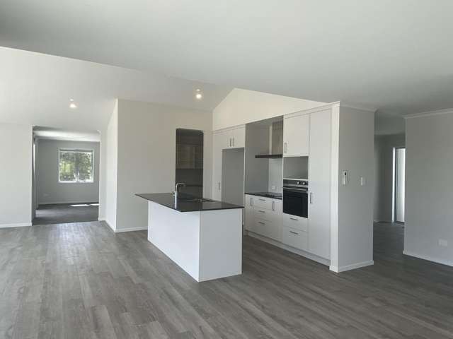 274 Whitehills Road Dairy Flat_4