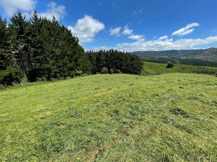 67 Okoko Road Otorohanga_27