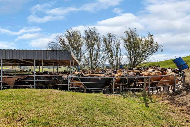 282B Callaghan Road Maromaku_2