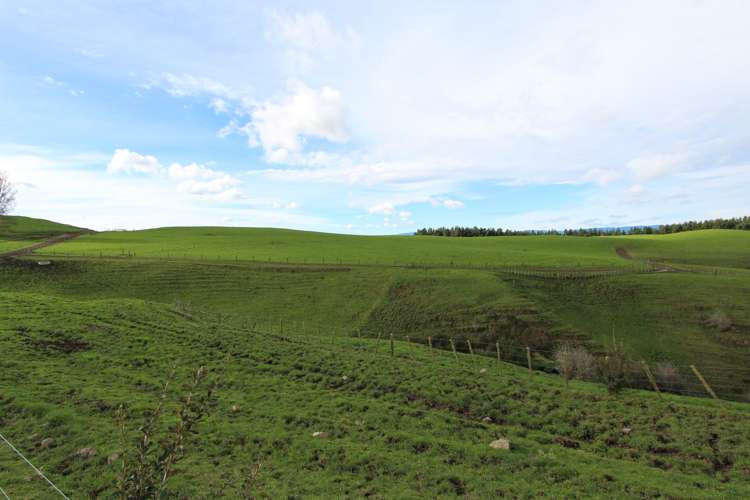 553 Buckland Road Matamata_6