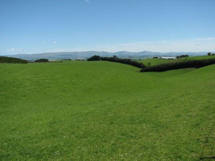 143 Gordon Road Balclutha_5