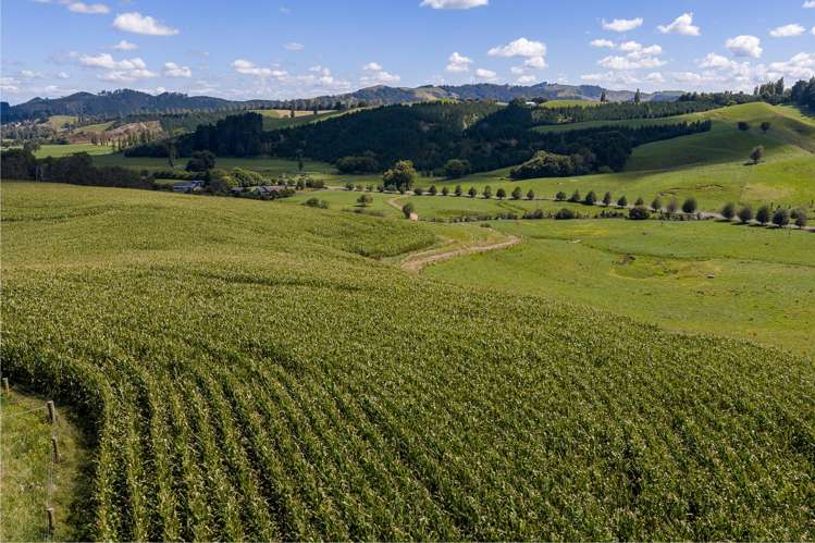 Lot 1/4/366 Karapiro Road Karapiro_25