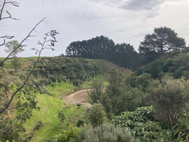 Near Mimi Road Mimi_2