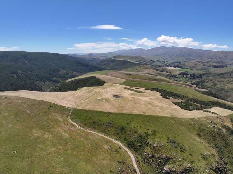 189 Pringles Road, Green Valley Palmerston_14