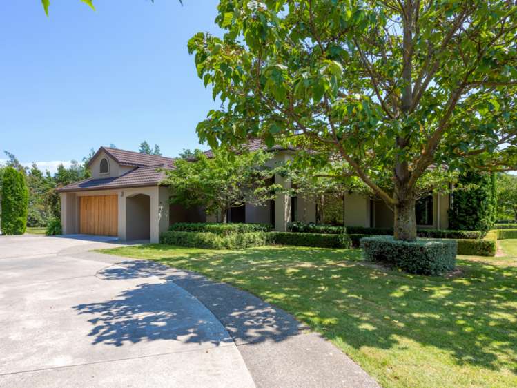 30 Bary Street Springlands_1