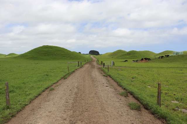 RAHOTU DAIRY FARM WITH POTENTIAL