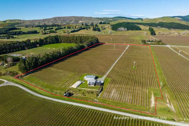Young Sauvignon Blanc vineyard, shed & cottage