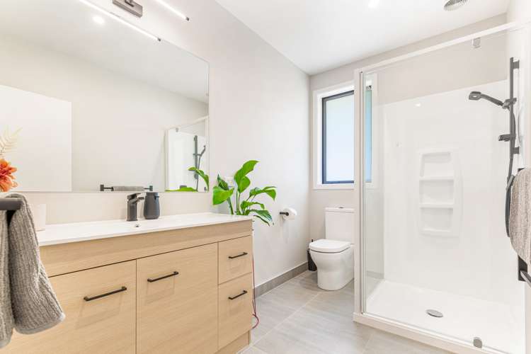 224 Birdwood Road Massey_17