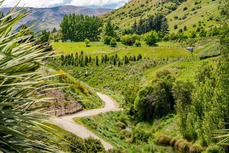 39 Red Cottage Drive Dalefield/Wakatipu Basin_19