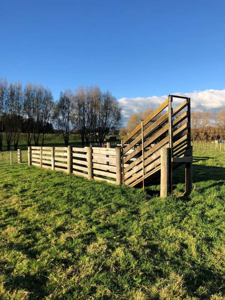 602 Awahuri Feilding Road Awahuri_16