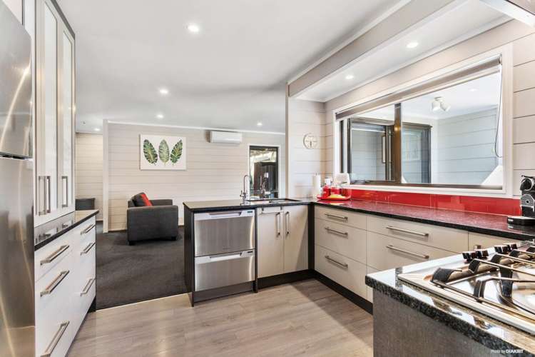 291 Horseshoe Bush Road Dairy Flat_6