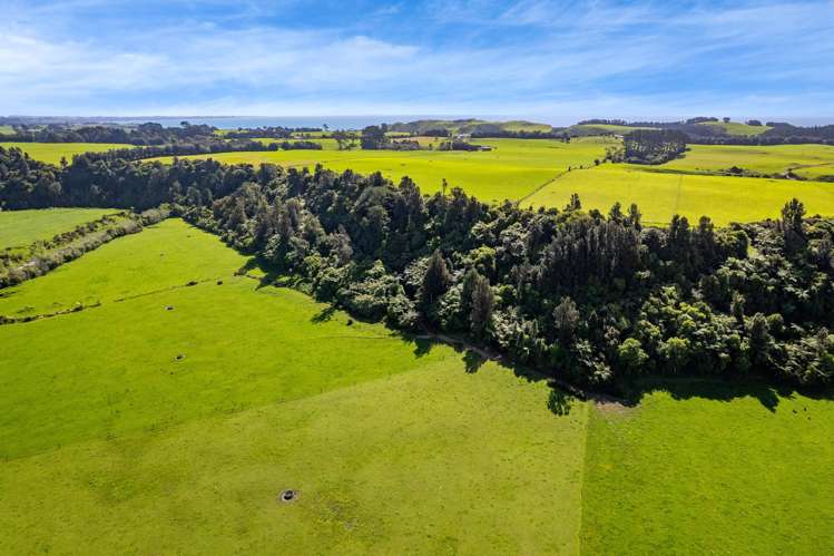 226 Pukearuhe Road Mimi_16