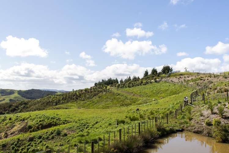 177 Wishart Road Helensville_7