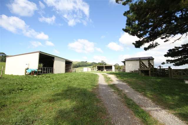 217b Golden Valley Road Waihi_4