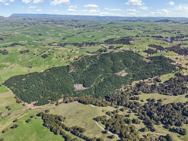 Hoyle Road and Wainui Road Arapohue_2