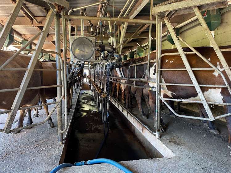 67 Okoko Road Otorohanga_14