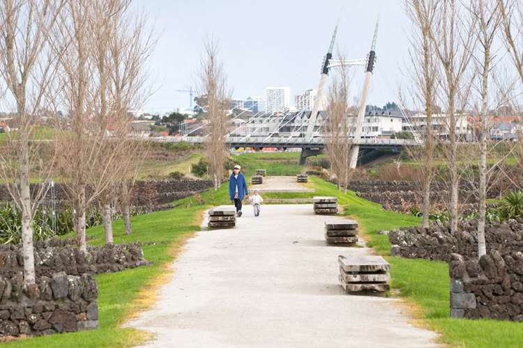 12 Rathmines Road Flat Bush_1