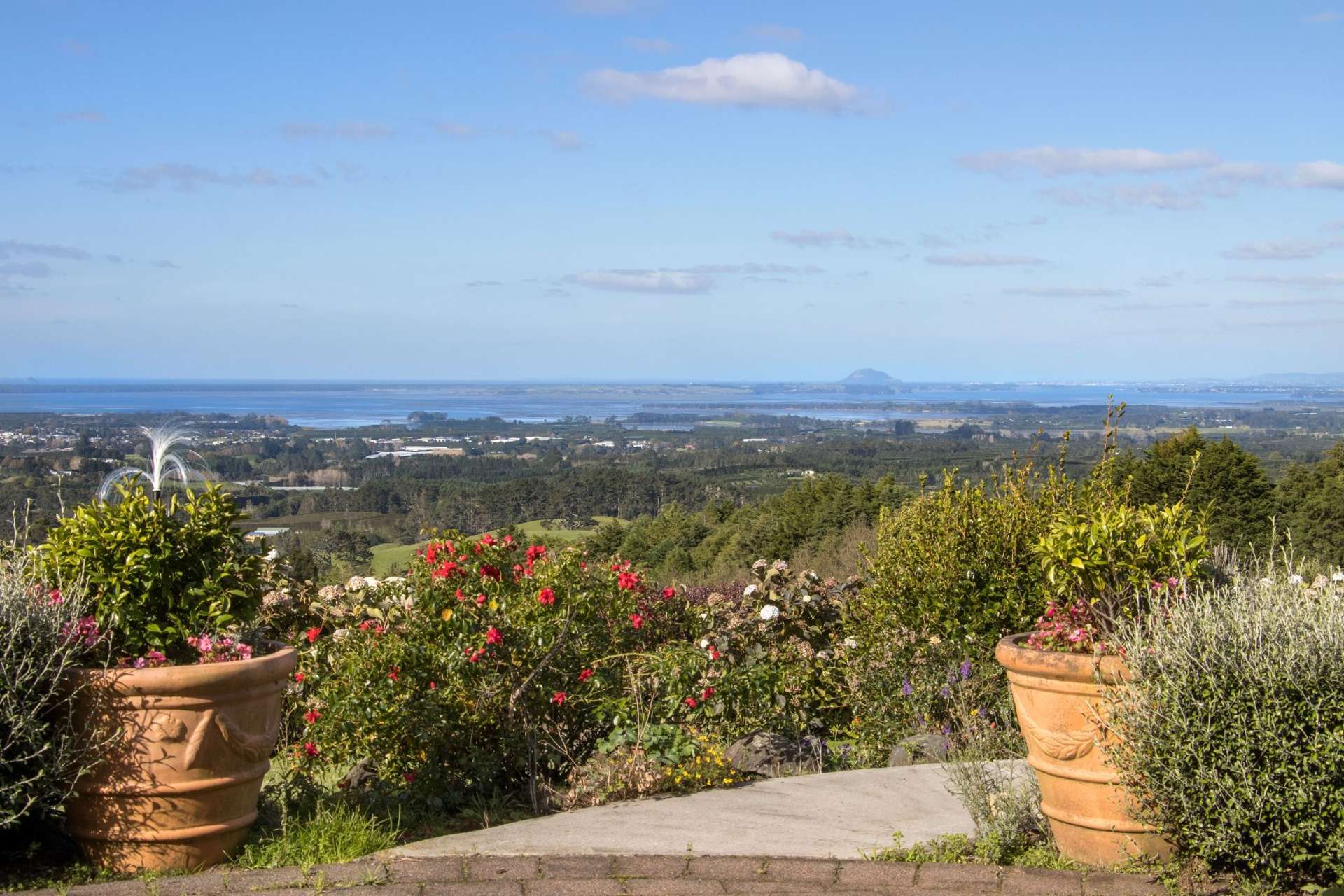 413C Busby Road Katikati Western Bay Of Plenty Houses for Sale