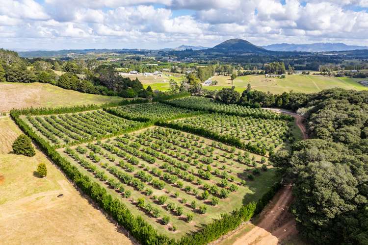 66 Kokopu Block Road Maungatapere Whangārei Rural Property For