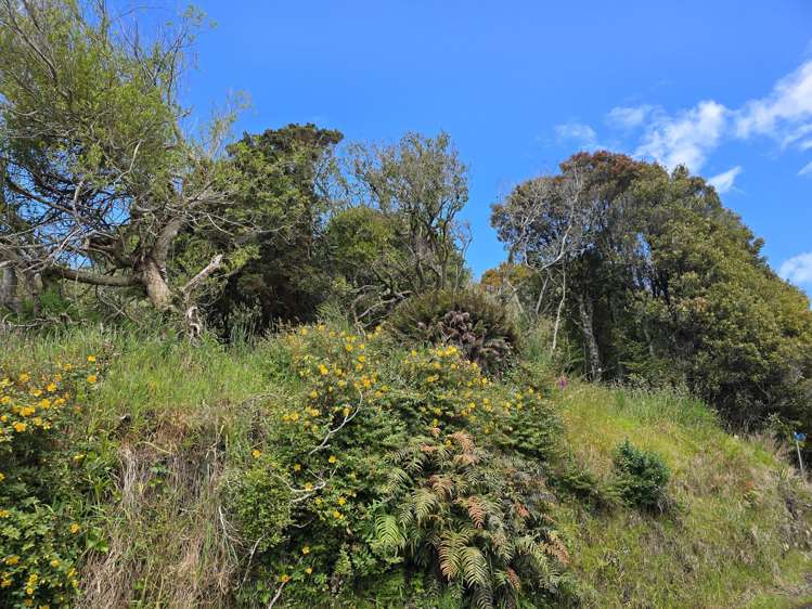 15 Excelsior Road Stewart Island_6