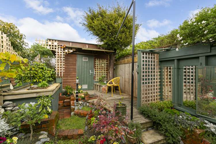 29 Douglas Street Mount Cook_1